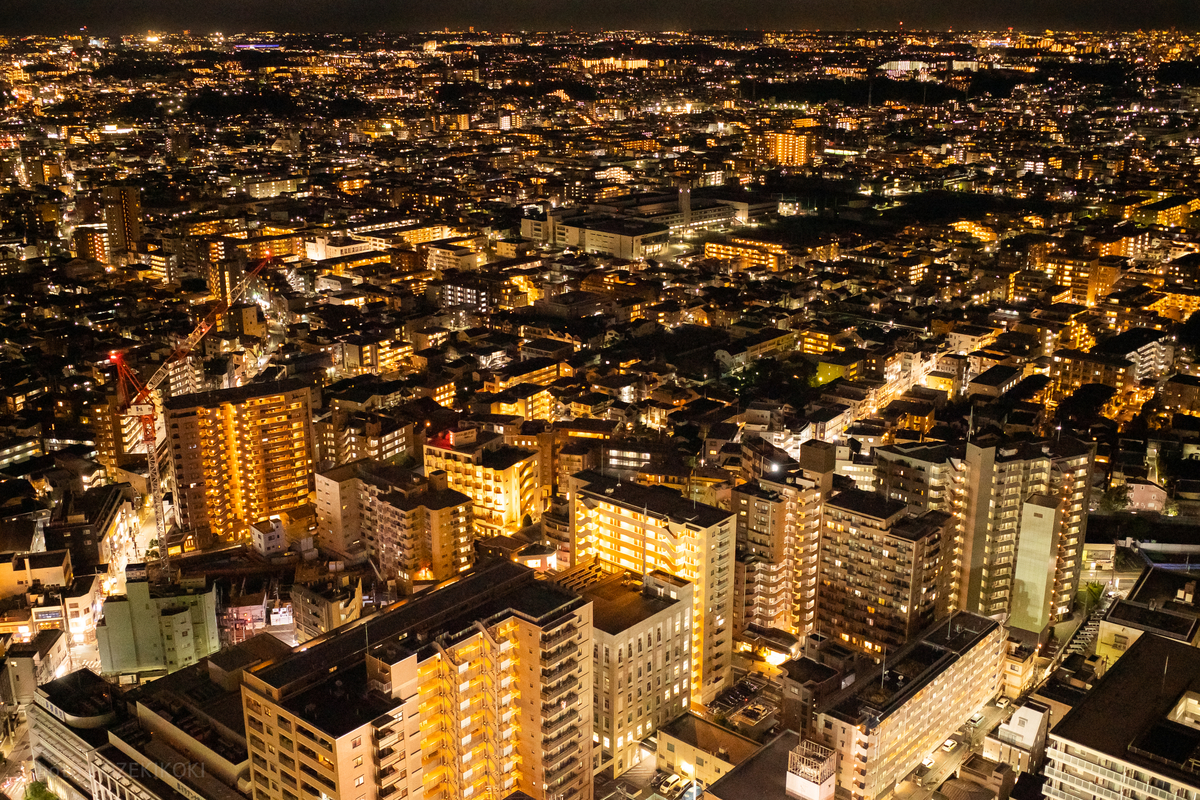 f:id:OZEKIKOKI:20220208145917j:plain