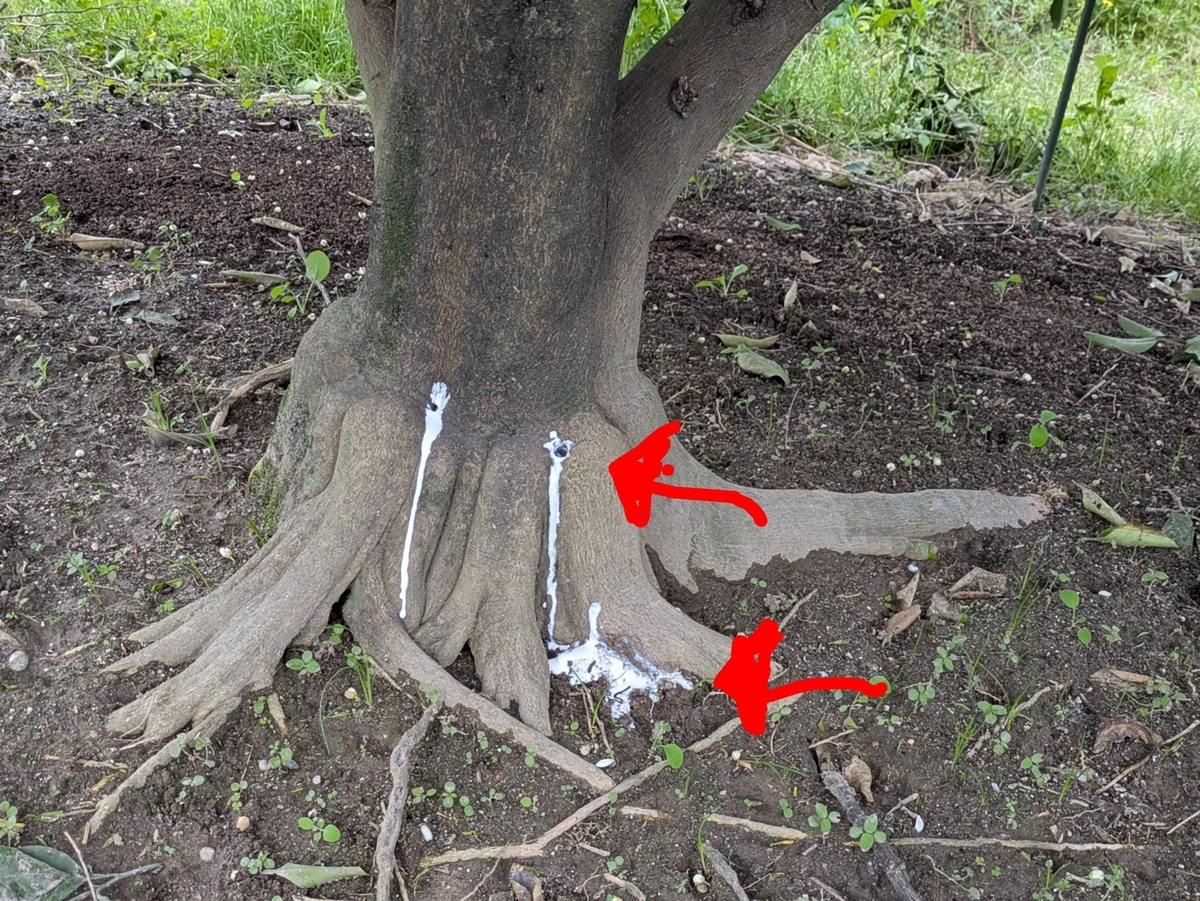 穴にボンドを注入して封鎖している様子