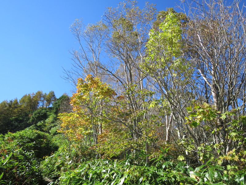 f:id:Odiel:20161017123945j:image
