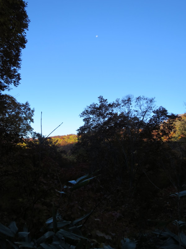 f:id:Odiel:20161110135342j:image