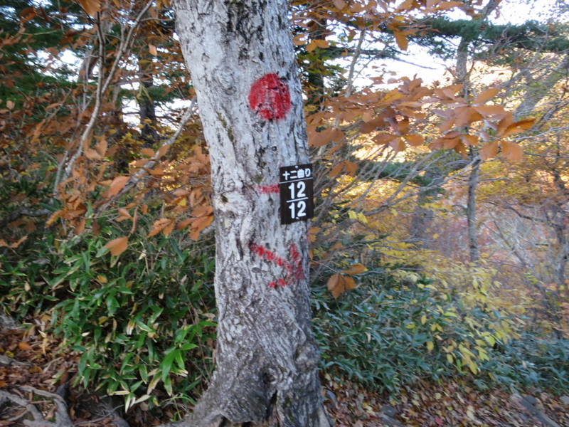 f:id:Odiel:20161110135348j:image
