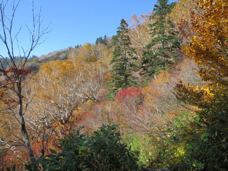 f:id:Odiel:20161110135450j:image