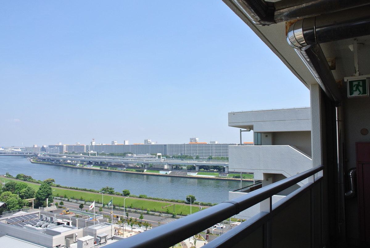 隅田川の対岸に見える白鬚東アパート