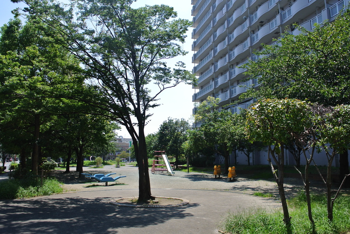 5号棟の裏側にある白鬚公園