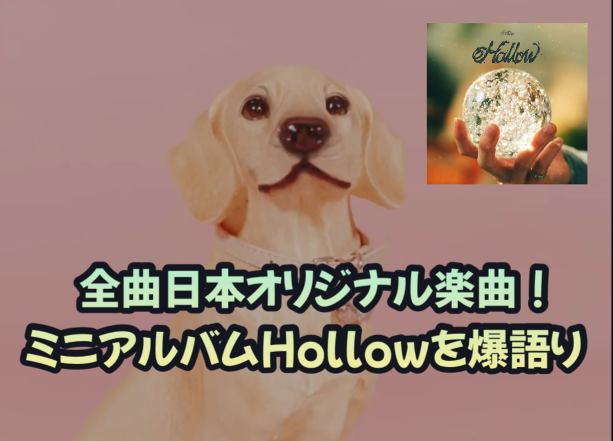 StrayKids日本3rdミニアルバム「Hollow」を語る！ - おうえんの様々な 