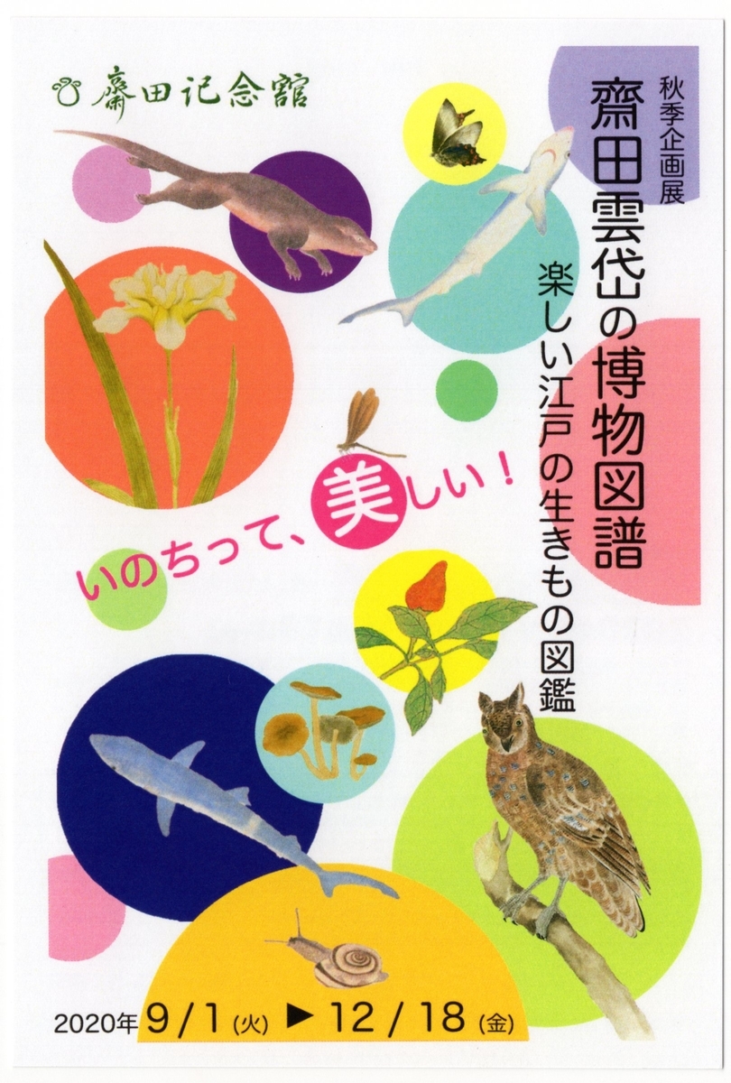 f:id:OhTa:20200926221521j:plain