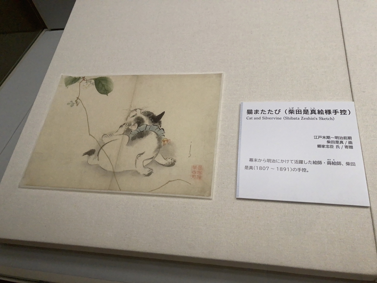 f:id:OhTa:20200927103630j:plain f:id:OhTa:20200927103630j:plain
