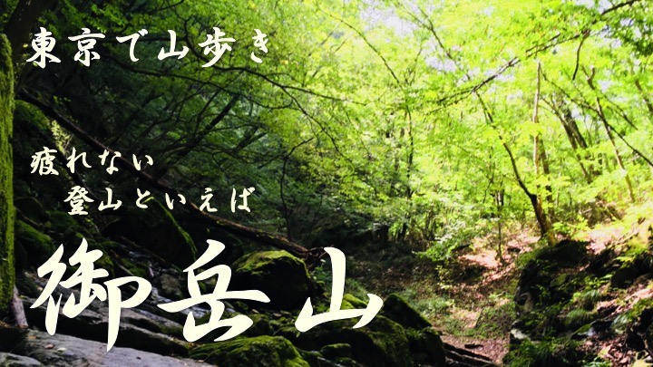 f:id:Oh_mycop:20181005002624j:plain f:id:Oh_mycop:20181005002624j:plain