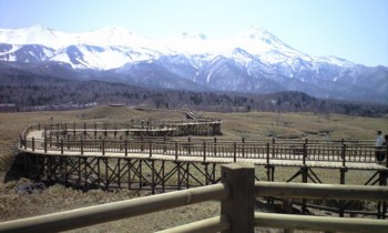f:id:Ojiro:20090502095330j:image f:id:Ojiro:20090502095330j:image