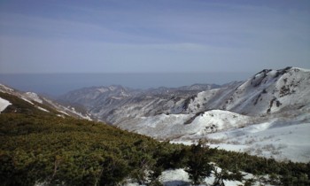 f:id:Ojiro:20090502142000j:image f:id:Ojiro:20090502142000j:image