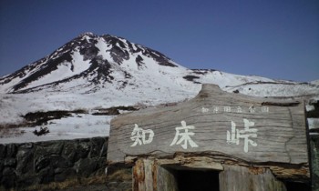 f:id:Ojiro:20090502143018j:image f:id:Ojiro:20090502143018j:image