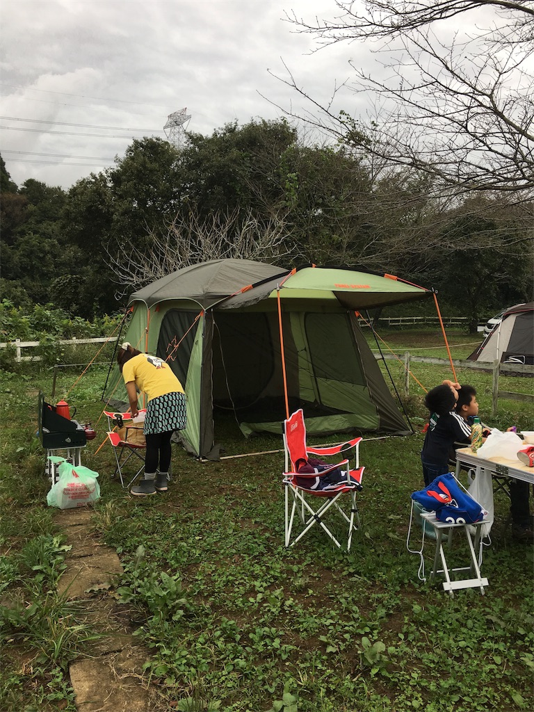 LOGOS ロゴス オートキャンプベッド270(10mロングコード) Amazon | ロゴス(LOGOS) 楽ちんオートキャンプベッド270(10m