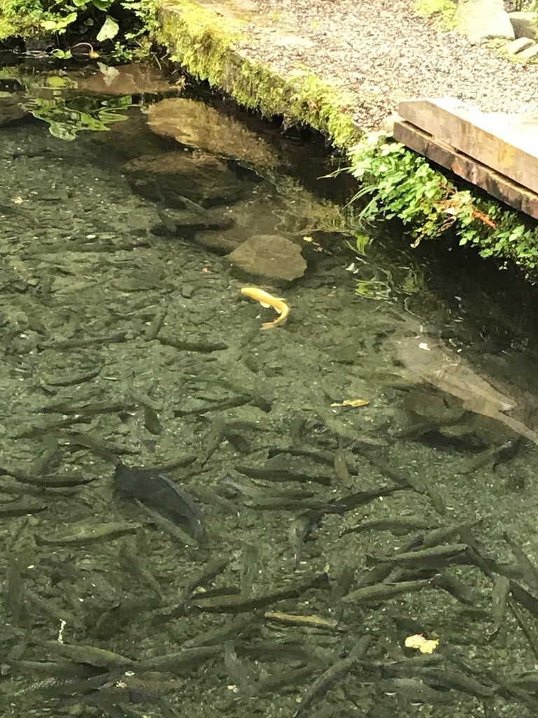 f:id:OjisanCAMP:20181014232738j:plain