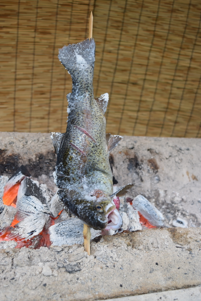 f:id:OjisanCAMP:20181014232824j:plain