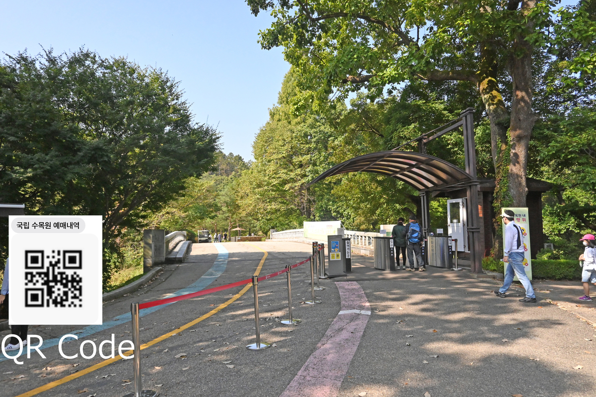 f:id:OkaHiro:20211003151734j:plain