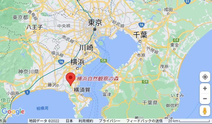 f:id:OkaHiro:20220403233106j:plain