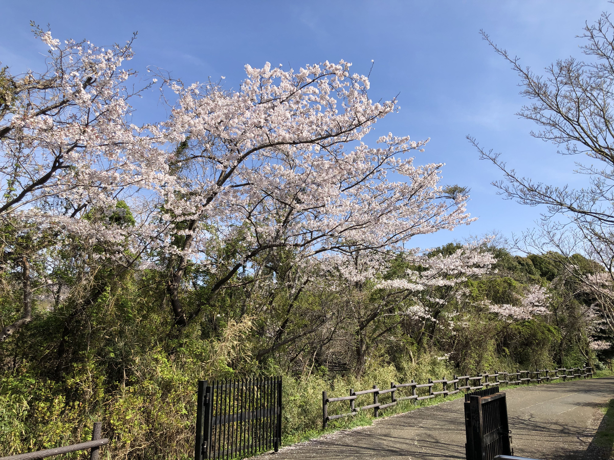 f:id:OkaHiro:20220403234248j:plain