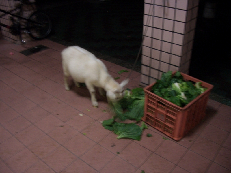 f:id:OkadaMitsuru:20121118192429j:image