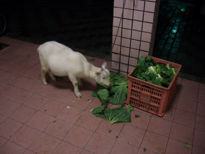 f:id:OkadaMitsuru:20121118192438j:image