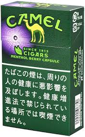 f:id:Okayamajk_Strongest:20210427224857j:plain