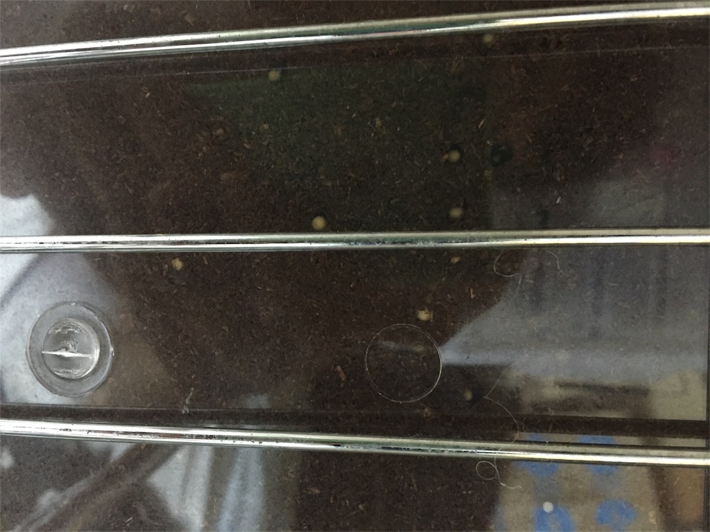 f:id:Okazaki:20160905034132j:image f:id:Okazaki:20160905034132j:image