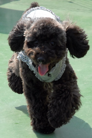 f:id:OkiDoOki:20070312150855j:image:h150