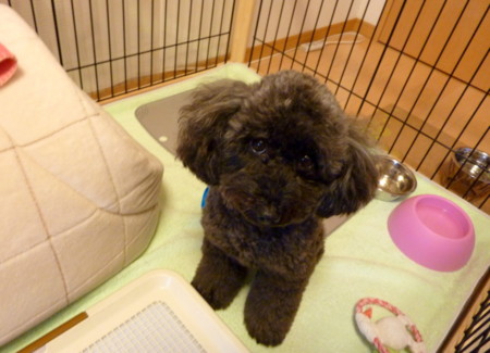 f:id:OkiDoOki:20090814044525j:image