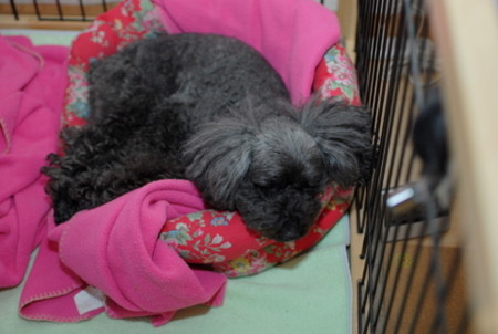 f:id:OkiDoOki:20110604035011j:image:w360 f:id:OkiDoOki:20110604035011j:image:w360