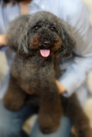 f:id:OkiDoOki:20110604040217j:image:h360 f:id:OkiDoOki:20110604040217j:image:h360