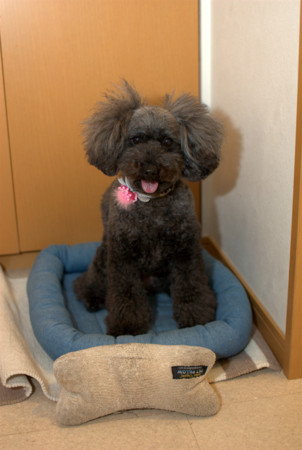 f:id:OkiDoOki:20120110231035j:image:w260 f:id:OkiDoOki:20120110231035j:image:w260