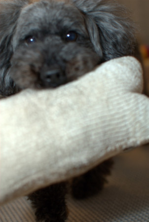 f:id:OkiDoOki:20120110231038j:image:w260 f:id:OkiDoOki:20120110231038j:image:w260