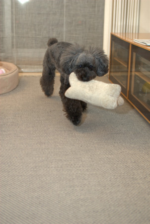 f:id:OkiDoOki:20120110231040j:image:w260 f:id:OkiDoOki:20120110231040j:image:w260