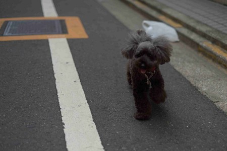 f:id:OkiDoOki:20121104043914j:image:w360