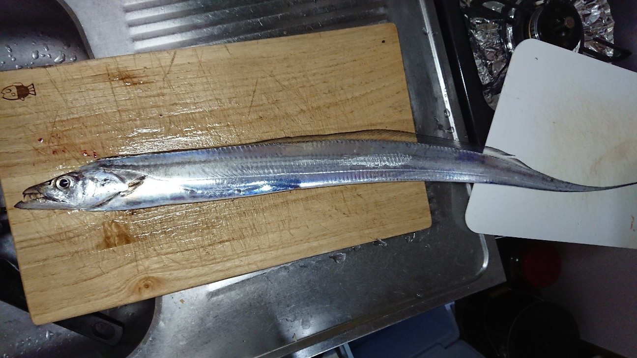 f:id:Okiami:20190518011232j:plain f:id:Okiami:20190518011232j:plain