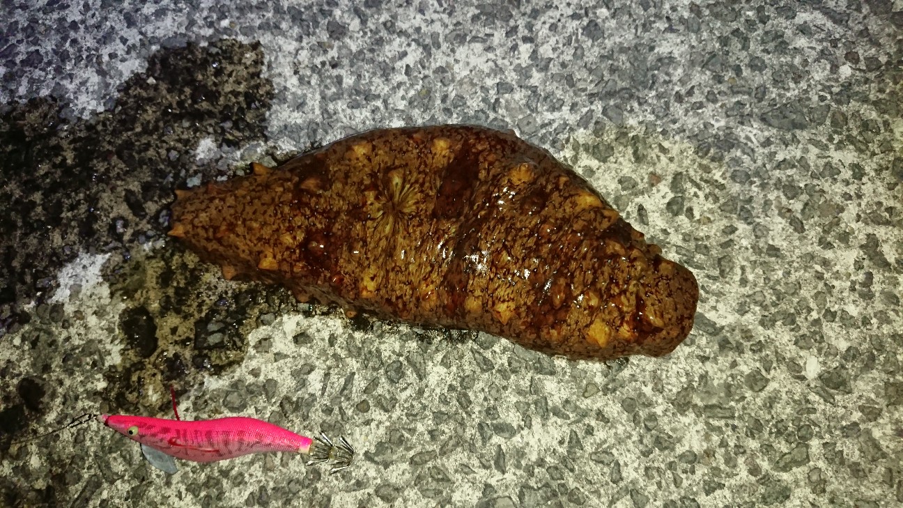 f:id:Okiami:20190606144019j:plain f:id:Okiami:20190606144019j:plain