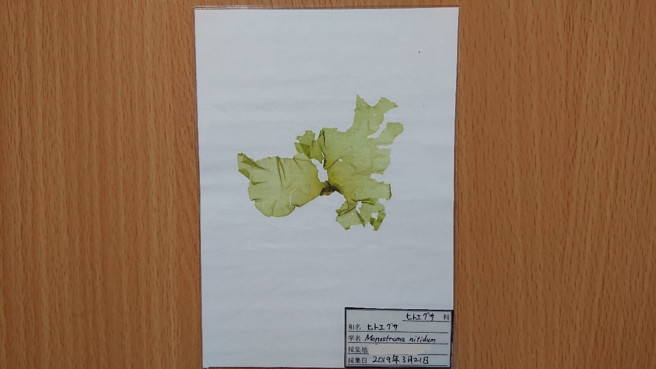 f:id:Okiami:20190610183221j:plain f:id:Okiami:20190610183221j:plain