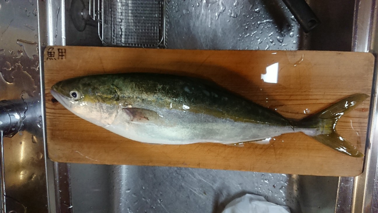 f:id:Okiami:20190613003839j:plain f:id:Okiami:20190613003839j:plain