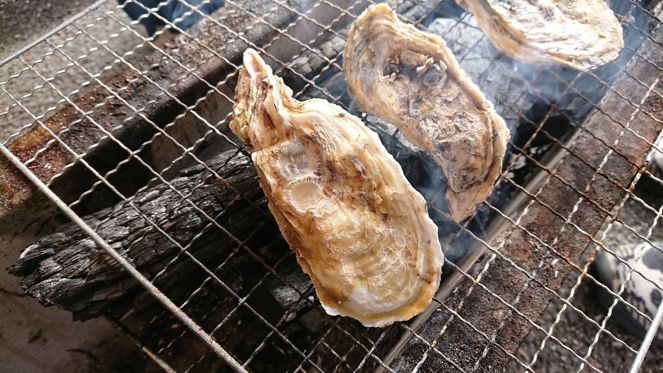 f:id:Okiami:20191207220052j:plain f:id:Okiami:20191207220052j:plain