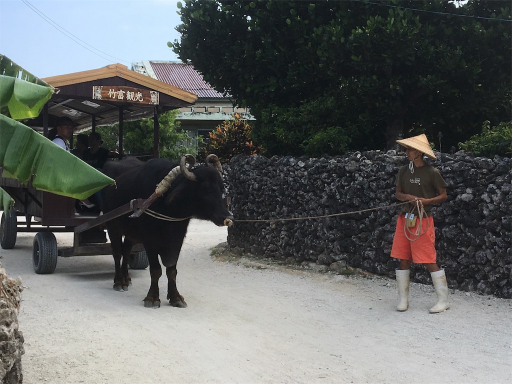 f:id:Okinawa-US:20180503100912j:image