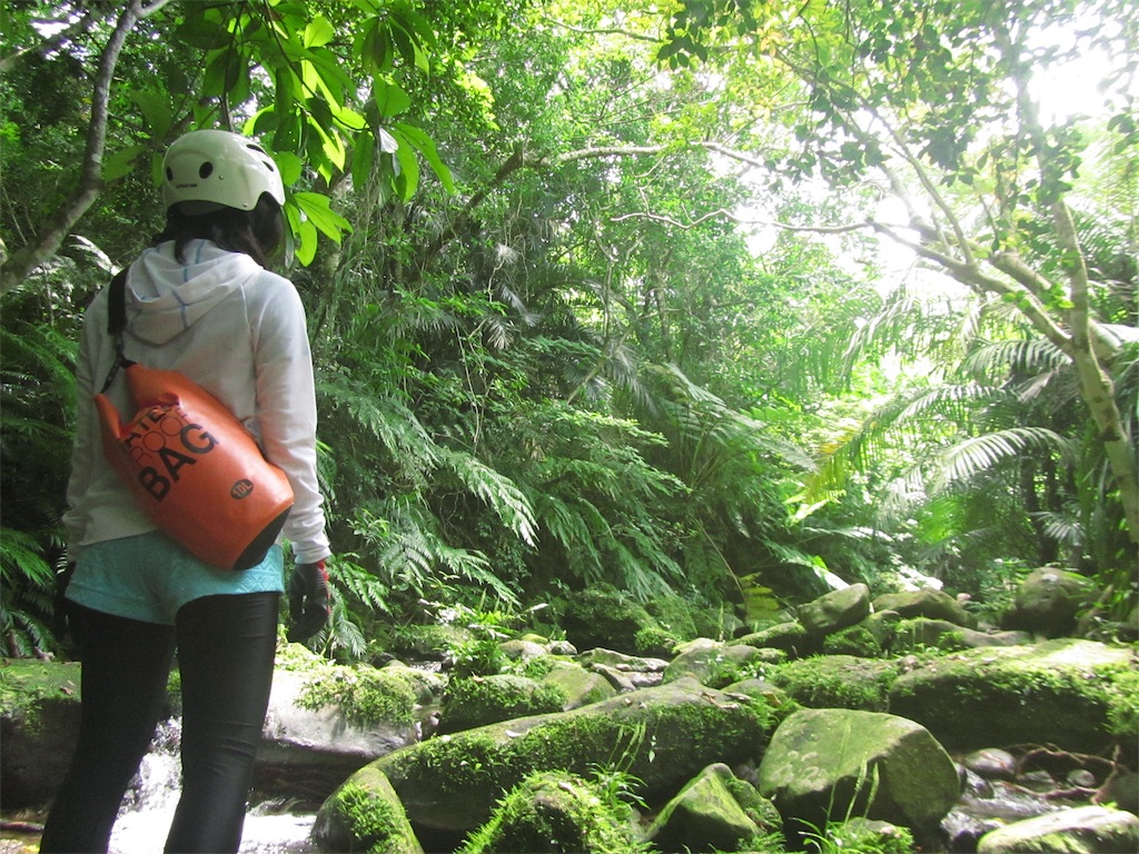f:id:Okinawa-US:20180503101330j:image