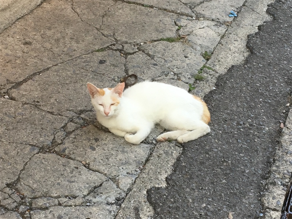 f:id:Okinawa-US:20180503101633j:image