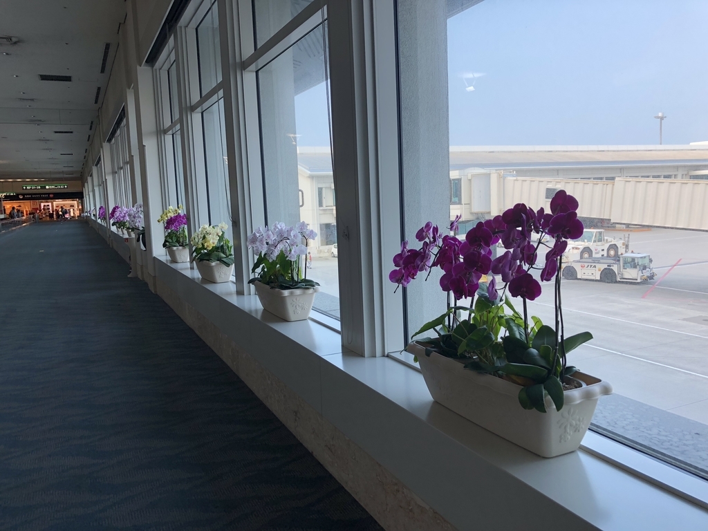 f:id:Okinawa_yohsan123:20180914062807j:plain f:id:Okinawa_yohsan123:20180914062807j:plain