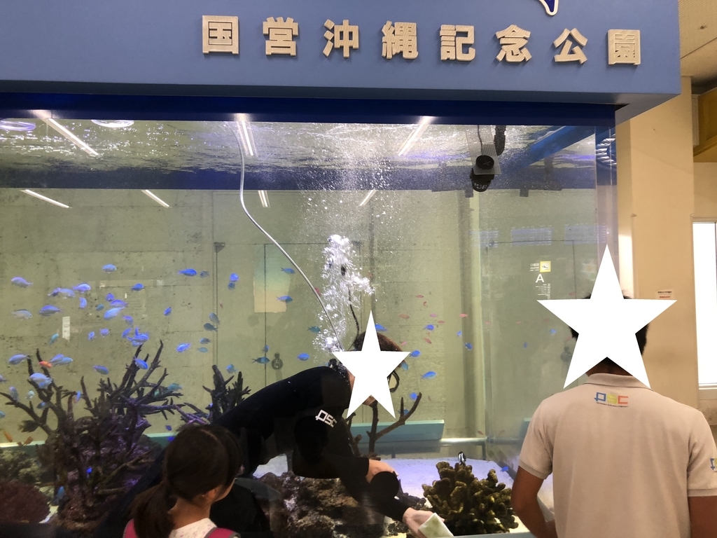 f:id:Okinawa_yohsan123:20180914062945j:plain f:id:Okinawa_yohsan123:20180914062945j:plain