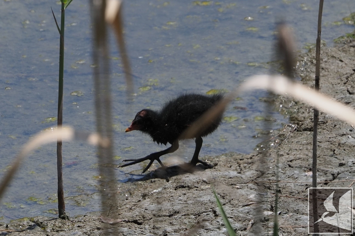 f:id:Okiyasu:20210421071437j:plain