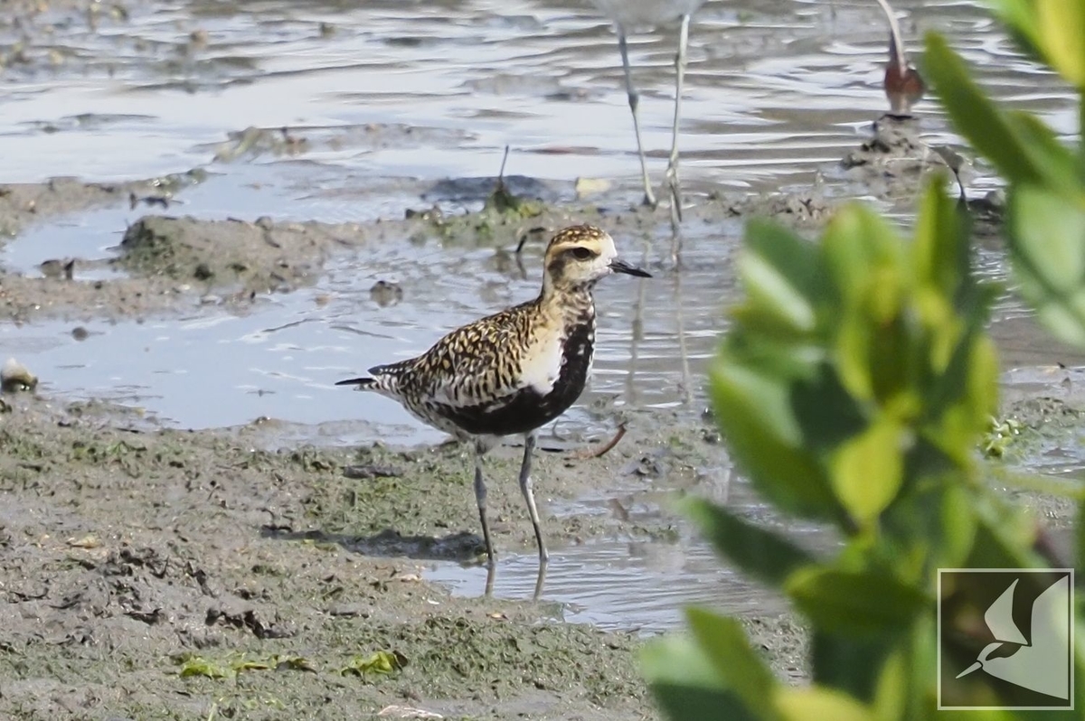 f:id:Okiyasu:20210518161413j:plain