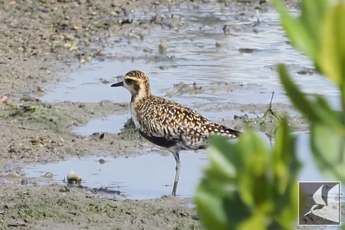 f:id:Okiyasu:20210518161418j:plain