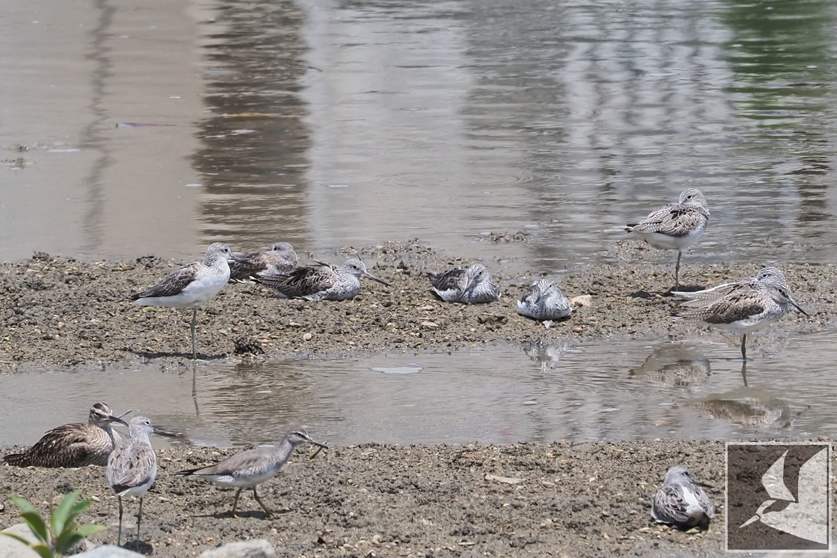 f:id:Okiyasu:20210518161756j:plain