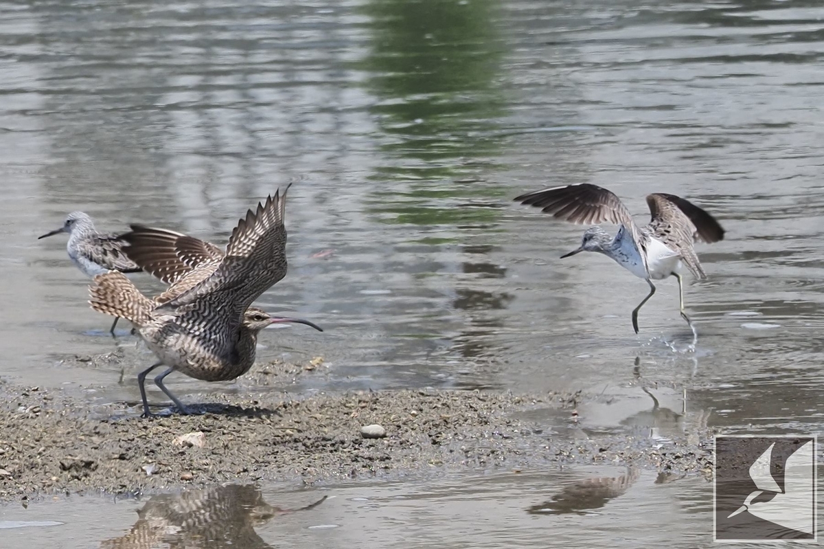 f:id:Okiyasu:20210518161939j:plain