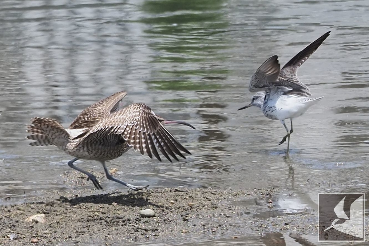 f:id:Okiyasu:20210518161944j:plain