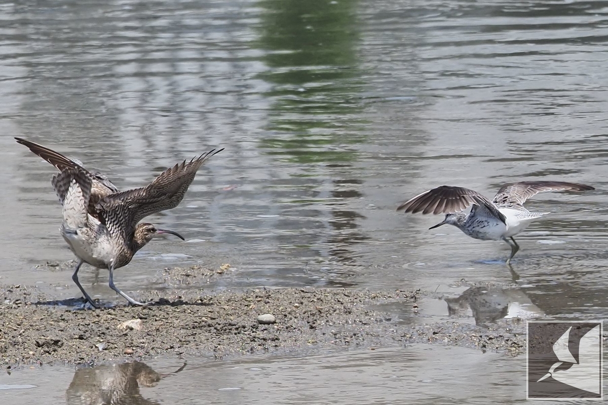 f:id:Okiyasu:20210518161948j:plain